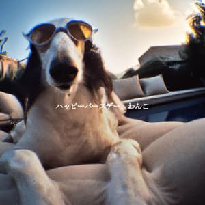 ハッピーバースデー、わんこ - Instrumental Soft Jazz