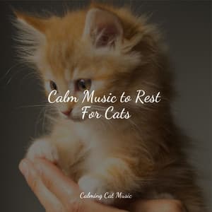 Calm Music to Rest For Cats - Relaxmycat