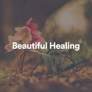 Beautiful Healing - Healing Music Spirit