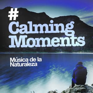# Calming Moments - Música de la Naturaleza