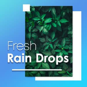 Fresh Rain Drops - Spa Music