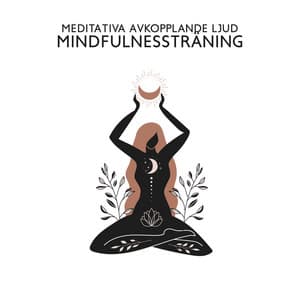 Meditativa Avkopplande Ljud: Mindfulnessträning, Chakra Rensning, Svensk Massage, Wellness Reiki, Djup Meditation - Avslappning ljud klubb