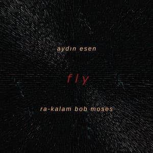 Fly - Aydın Esen