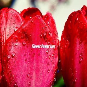 Flower Power Jazz - Música Para Estudar