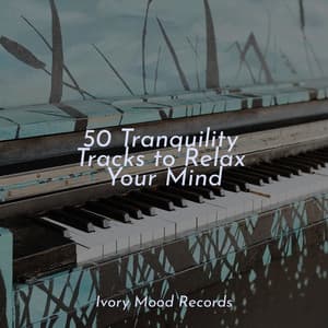 50 Tranquility Tracks to Relax Your Mind - Ivory Mood