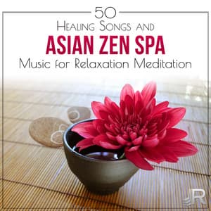 50 Healing Songs: Asian Zen Spa Music for Relaxation Meditation - Soothing Waves & Sounds of the Sea for Reiki Massage & Tranquility - Wellbeing Zone