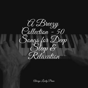 Mindful Living Melodies | Serene and Focused Study Sessions - Relaxar Piano Musicas Coleção