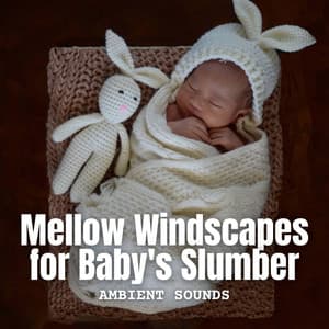 Ambient Sounds: Mellow Windscapes for Baby's Slumber - Epic Soundscapes