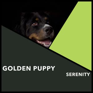 Golden Puppy Serenity - Dogs Music Therapy