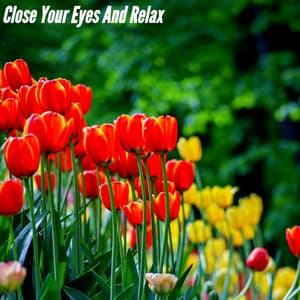 Close Your Eyes And Relax - Easy Listening Background Music