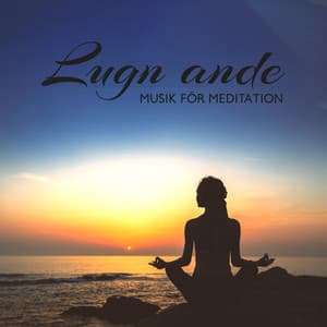 Lugn ande: Musik för meditation och stressreducering, Lugna ljud för sömn, Spa, Yoga - Djup Avslappningsövningar Akademi