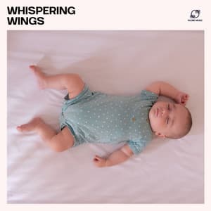 Whispering Wings - Lullabies & Bedtime Music