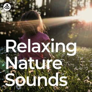 Relaxing Nature Sounds - Natural Sound Selections