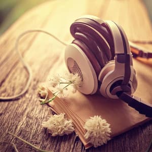 Relaxing Flow: Music for Harmonious Massage - Keep Calm Music Collection