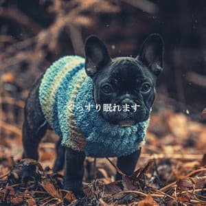 ぐっすり眠れます - Mellow Jazz Playlist