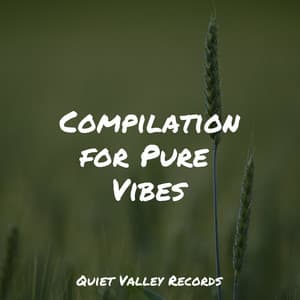 Compilation for Pure Vibes - Spa Music Collective