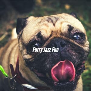 Furry Jazz Fun - Dog Jazz Sounds