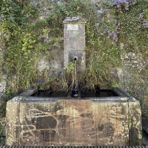 A Spontaneous Breaking of Symmetry II. - Armen Nalbandian