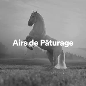 Airs de Pâturage - Bruit Blanc