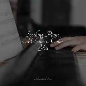 #2022 50 Calming Piano Tracks for Focused Study Sessions - Piano Masters