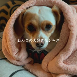 わんこの大好きなジャズ - Cena Jazz