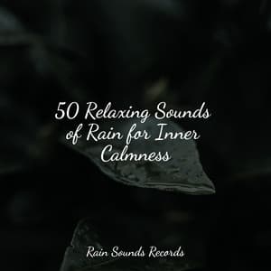 50 Relaxing Sounds of Rain for Inner Calmness - Nature Sounds