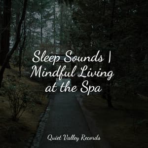 Sleep Sounds | Mindful Living at the Spa - Sleep Rain