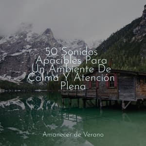 50 Sonidos Apacibles Para Un Ambiente De Calma Y Atención Plena - Musica para Bebes