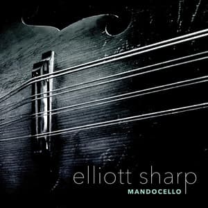 Mandocello - Elliott Sharp