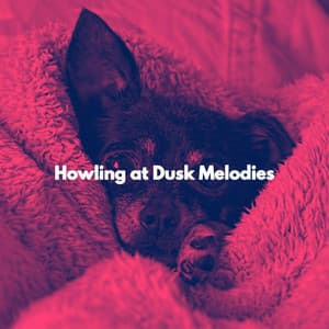 Howling at Dusk Melodies - Puppy Sleeping Sounds