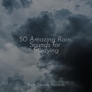 50 Amazing Rain Sounds for Studying - Yoga Sounds