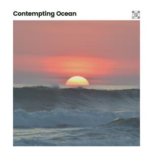 Contempting Ocean - Calming Ocean