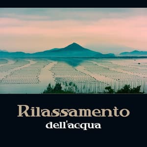 Rilassamento dell'acqua - Sperimentare la calma dei suoni dell'acqua, Onde, pioggia, cascata e fiume - Santuario dei suoni della natura
