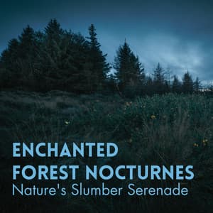 Enchanted Forest Nocturnes: Nature's Slumber Serenade - Forest Dreams