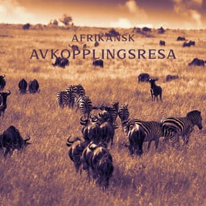 Afrikansk avkopplingsresa - djup meditation och sinnesro - Avslappning ljud klubb