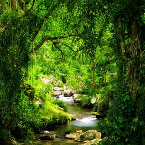 Serenade by the Stream: Nature's Melodic Flow - Water Sounds for Sleep