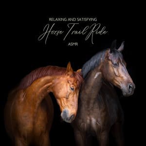 Relaxing And Satisfying Horse Trail Ride ASMR - ASMR