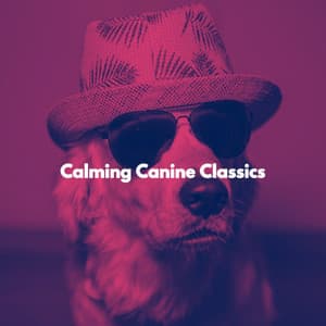 Calming Canine Classics - Santiago Lorenzo Amor