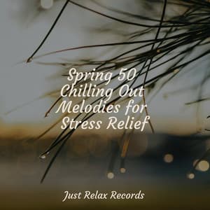 Spring 50 Chilling Out Melodies for Stress Relief - Kinderliederbande