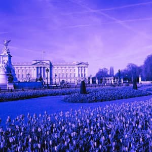 Feelings for Improving Work - Musica para Hoteles De Lujo