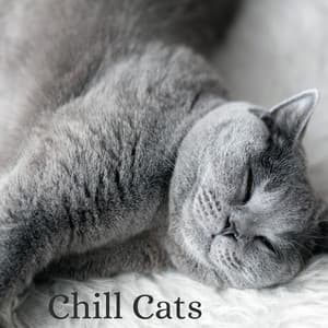 Chill Cats - Cat Sleeping Music Project