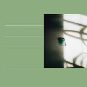 Music for Spring Rest - Playlist Música para Dormir