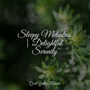 Sleepy Melodies | Delightful Serenity - Ruído Branco