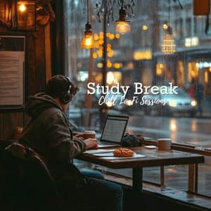 Study Break: Chill Lo-Fi Sessions - Lofi Tape Music