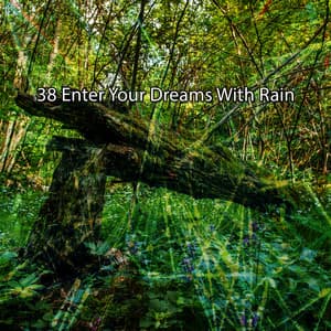 38 Enter Your Dreams With Rain - Rain Atmospheres