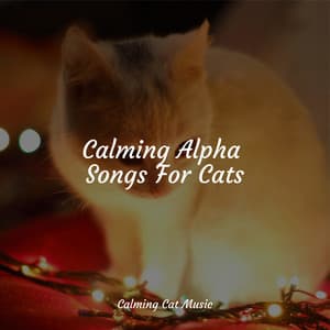 Calming Alpha Songs For Cats - Music for Pets Library