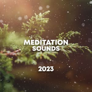 Meditation Sounds 2023 - Rain and Chill