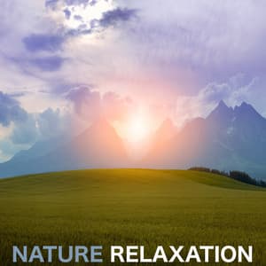 Nature Relaxation - Sleep Sounds of Nature