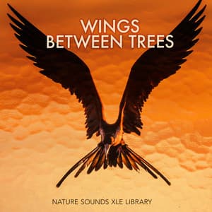 Wings Between Trees - Nature Sounds XLE Library