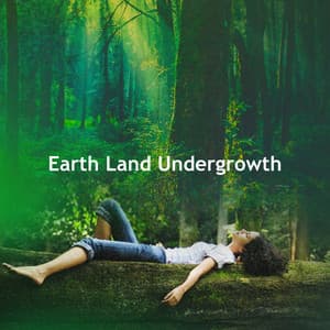 Earth Land Undergrowth - Pure Nature Noises